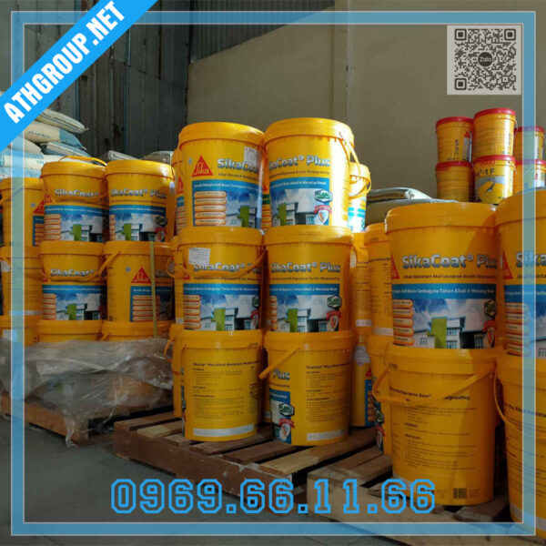 ATH Group cung cấp Màng chống thấm SikaCoat Plus tại HCM