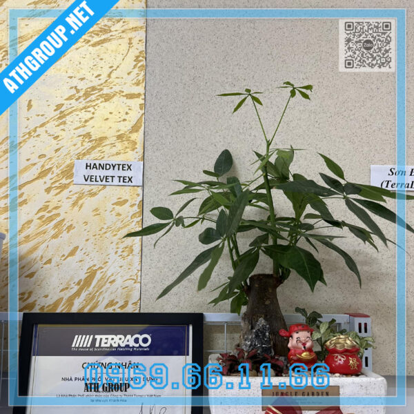 Mẫu Sơn tạo vân gai Terraco Handytex