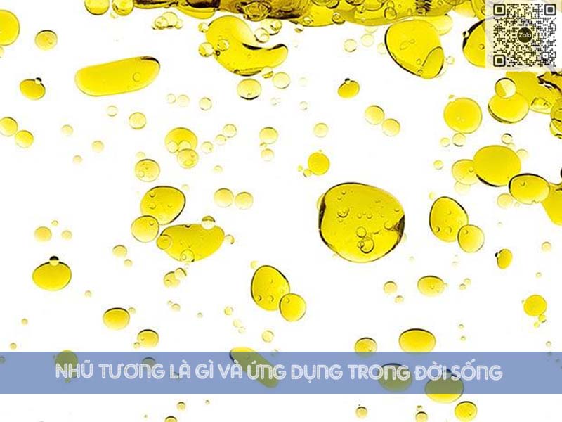 CHẤT NHŨ HÓA LÀ GÌ?