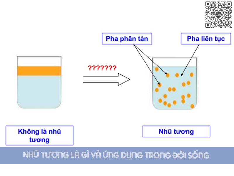 SỰ HÌNH THÀNH VÀ CÁC YẾU TỐ ẢNH HƯỞNG ĐẾN VIỆC TẠO NHŨ