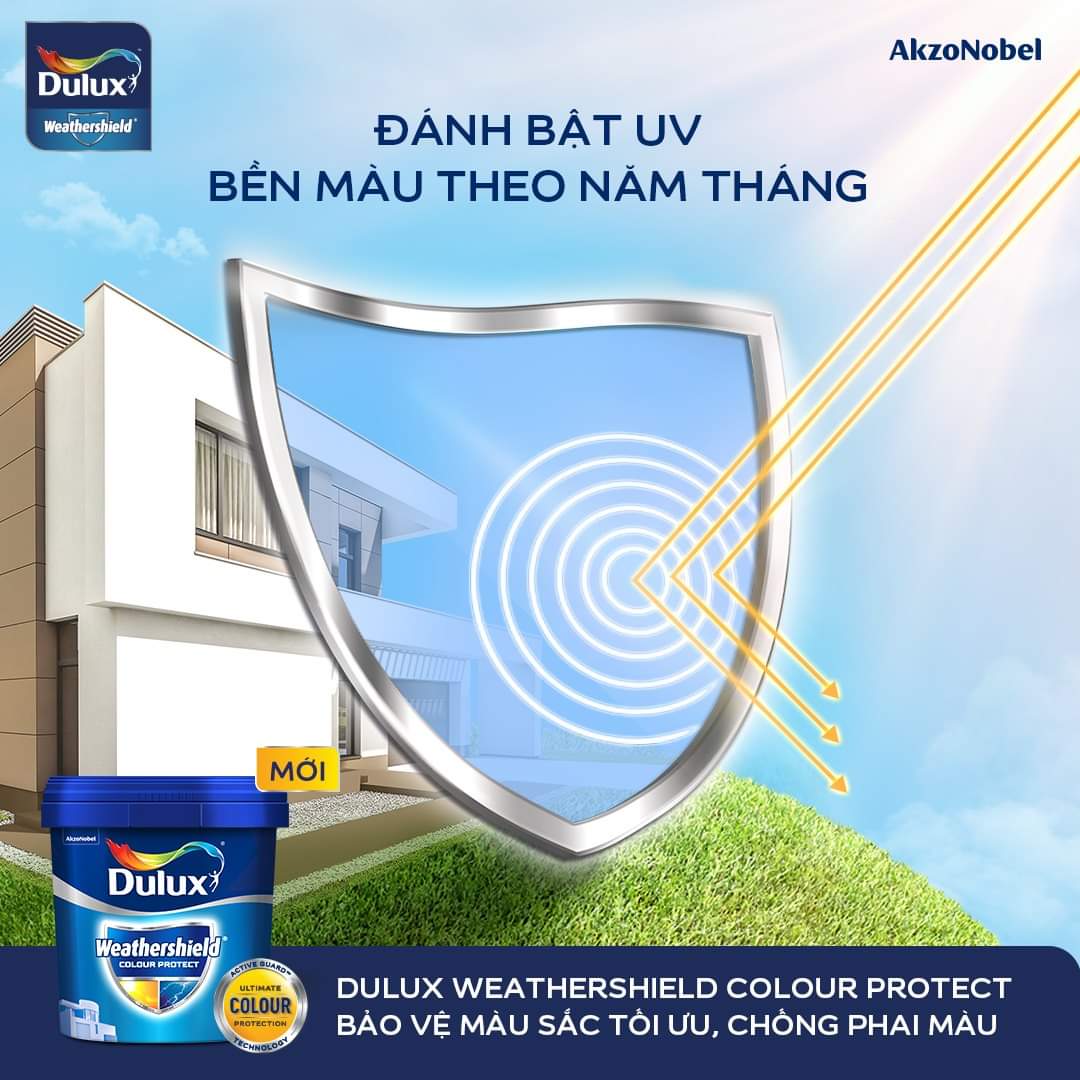 Sản phẩm chống thấm Dulux Weathershield