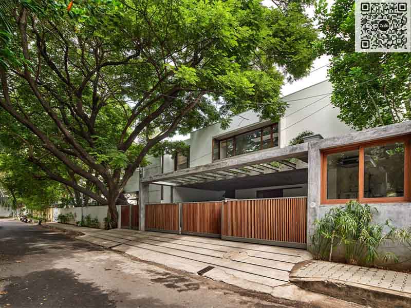 Trồng những loại cây có tán lá rộng giúp chống nóng hiệu quả cho ngôi nhà (Ảnh: Raintree House)