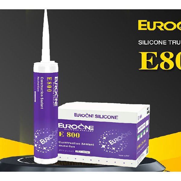 Keo EuroOne Silicone sealant E800